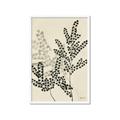 Picture of Shadow Botanical I  _GroupedProduct_Rectangle_Portrait_Framed_Matted_