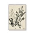 Picture of Shadow Botanical I  _GroupedProduct_Rectangle_Portrait_Framed_Matted_