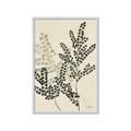 Picture of Shadow Botanical I  _GroupedProduct_Rectangle_Portrait_Framed_Matted_
