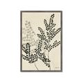 Picture of Shadow Botanical I  _GroupedProduct_Rectangle_Portrait_Framed_Matted_