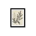 Picture of Shadow Botanical I  _GroupedProduct_Rectangle_Portrait_Framed_Matted_