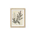 Picture of Shadow Botanical I  _GroupedProduct_Rectangle_Portrait_Framed_Matted_