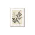 Picture of Shadow Botanical I  _GroupedProduct_Rectangle_Portrait_Framed_Matted_