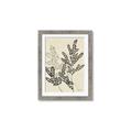 Picture of Shadow Botanical I  _GroupedProduct_Rectangle_Portrait_Framed_Matted_