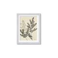 Picture of Shadow Botanical I  _GroupedProduct_Rectangle_Portrait_Framed_Matted_