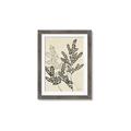 Picture of Shadow Botanical I  _GroupedProduct_Rectangle_Portrait_Framed_Matted_