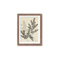 Picture of Shadow Botanical I  _GroupedProduct_Rectangle_Portrait_Framed_Matted_