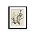 Picture of Shadow Botanical I  _GroupedProduct_Rectangle_Portrait_Framed_Matted_