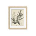 Picture of Shadow Botanical I  _GroupedProduct_Rectangle_Portrait_Framed_Matted_