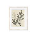 Picture of Shadow Botanical I  _GroupedProduct_Rectangle_Portrait_Framed_Matted_