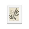 Picture of Shadow Botanical I  _GroupedProduct_Rectangle_Portrait_Framed_Matted_