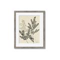 Picture of Shadow Botanical I  _GroupedProduct_Rectangle_Portrait_Framed_Matted_