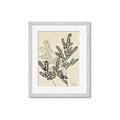 Picture of Shadow Botanical I  _GroupedProduct_Rectangle_Portrait_Framed_Matted_