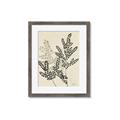 Picture of Shadow Botanical I  _GroupedProduct_Rectangle_Portrait_Framed_Matted_
