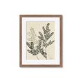 Picture of Shadow Botanical I  _GroupedProduct_Rectangle_Portrait_Framed_Matted_
