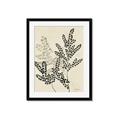 Picture of Shadow Botanical I  _GroupedProduct_Rectangle_Portrait_Framed_Matted_