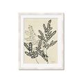 Picture of Shadow Botanical I  _GroupedProduct_Rectangle_Portrait_Framed_Matted_