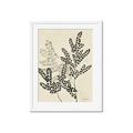 Picture of Shadow Botanical I  _GroupedProduct_Rectangle_Portrait_Framed_Matted_