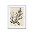 Picture of Shadow Botanical I  _GroupedProduct_Rectangle_Portrait_Framed_Matted_
