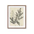 Picture of Shadow Botanical I  _GroupedProduct_Rectangle_Portrait_Framed_Matted_