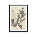 Picture of Shadow Botanical I  _GroupedProduct_Rectangle_Portrait_Framed_Matted_
