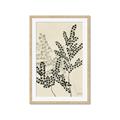Picture of Shadow Botanical I  _GroupedProduct_Rectangle_Portrait_Framed_Matted_