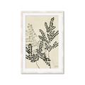 Picture of Shadow Botanical I  _GroupedProduct_Rectangle_Portrait_Framed_Matted_