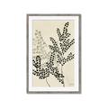Picture of Shadow Botanical I  _GroupedProduct_Rectangle_Portrait_Framed_Matted_