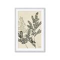 Picture of Shadow Botanical I  _GroupedProduct_Rectangle_Portrait_Framed_Matted_