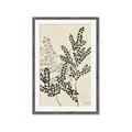 Picture of Shadow Botanical I  _GroupedProduct_Rectangle_Portrait_Framed_Matted_