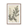 Picture of Shadow Botanical I  _GroupedProduct_Rectangle_Portrait_Framed_Matted_