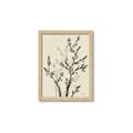 Picture of Shadow Botanical II _GroupedProduct_Rectangle_Portrait_Framed_Matted_