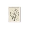 Picture of Shadow Botanical II _GroupedProduct_Rectangle_Portrait_Framed_Matted_