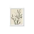 Picture of Shadow Botanical II _GroupedProduct_Rectangle_Portrait_Framed_Matted_