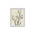 Picture of Shadow Botanical II _GroupedProduct_Rectangle_Portrait_Framed_Matted_