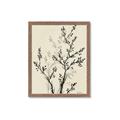 Picture of Shadow Botanical II _GroupedProduct_Rectangle_Portrait_Framed_Matted_