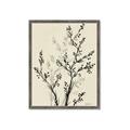Picture of Shadow Botanical II _GroupedProduct_Rectangle_Portrait_Framed_Matted_
