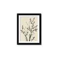 Picture of Shadow Botanical II _GroupedProduct_Rectangle_Portrait_Framed_Matted_
