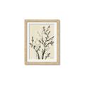 Picture of Shadow Botanical II _GroupedProduct_Rectangle_Portrait_Framed_Matted_