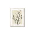 Picture of Shadow Botanical II _GroupedProduct_Rectangle_Portrait_Framed_Matted_
