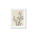 Picture of Shadow Botanical II _GroupedProduct_Rectangle_Portrait_Framed_Matted_