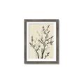 Picture of Shadow Botanical II _GroupedProduct_Rectangle_Portrait_Framed_Matted_