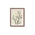 Picture of Shadow Botanical II _GroupedProduct_Rectangle_Portrait_Framed_Matted_