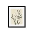 Picture of Shadow Botanical II _GroupedProduct_Rectangle_Portrait_Framed_Matted_