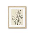 Picture of Shadow Botanical II _GroupedProduct_Rectangle_Portrait_Framed_Matted_