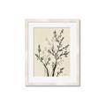 Picture of Shadow Botanical II _GroupedProduct_Rectangle_Portrait_Framed_Matted_