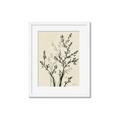 Picture of Shadow Botanical II _GroupedProduct_Rectangle_Portrait_Framed_Matted_