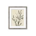 Picture of Shadow Botanical II _GroupedProduct_Rectangle_Portrait_Framed_Matted_