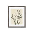 Picture of Shadow Botanical II _GroupedProduct_Rectangle_Portrait_Framed_Matted_