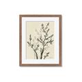 Picture of Shadow Botanical II _GroupedProduct_Rectangle_Portrait_Framed_Matted_